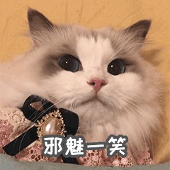 曾大受欢迎的布偶猫现弃养率激增原因是什么