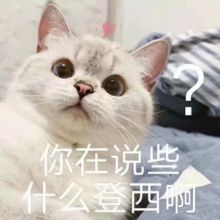 猫咪讨厌你的11大表现占5条以上说明它恨透你了！