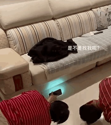 养了黑猫以后我连夜去看了眼科医院